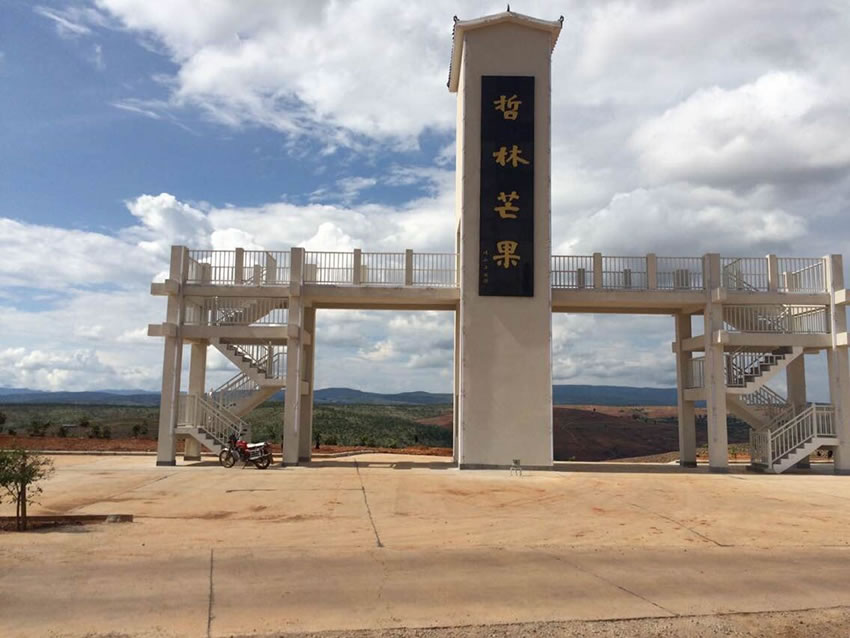 云南基地5.jpg